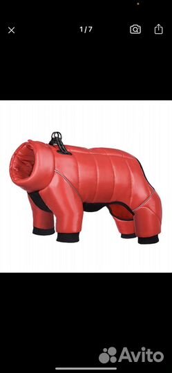 Зимняя куртка на собаку