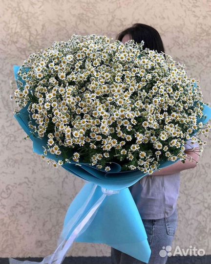 Цветы ромашки. Букеты ромашек. Цветы доставка