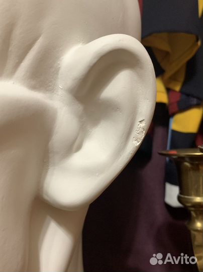 Гипсовое экорше