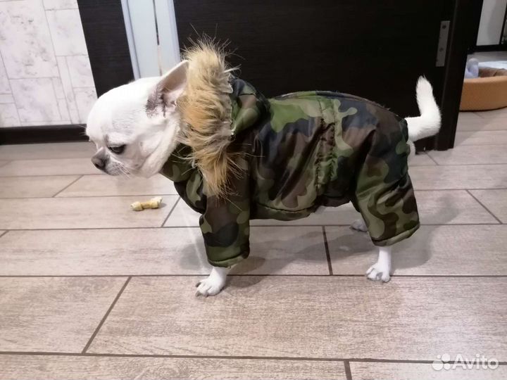 Комбинезон для собак