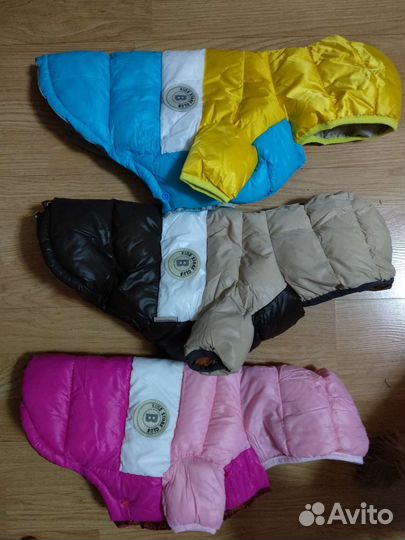 Одежда для собак