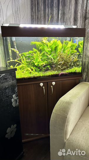 Аквариум с тумбой juwel 125 литров