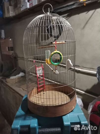 Клетка для птиц