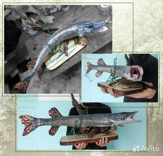Чучела рыб