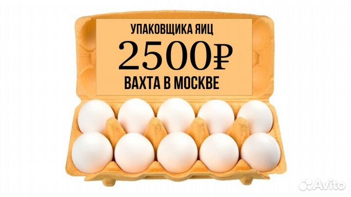 Москва Вахта Упаковщик / ца яиц на Птицефабрике