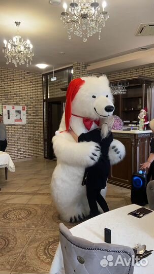 Поздравление белый мишка. тедди ростовая кукла