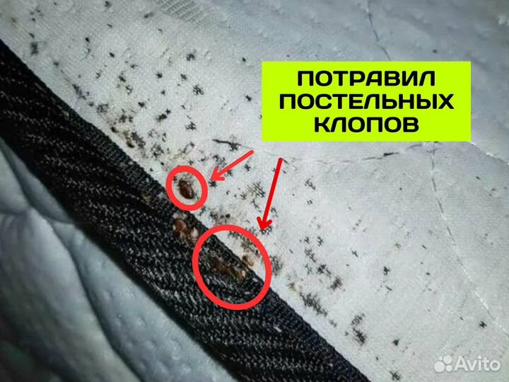 Уничтожение тараканов дезинфекция