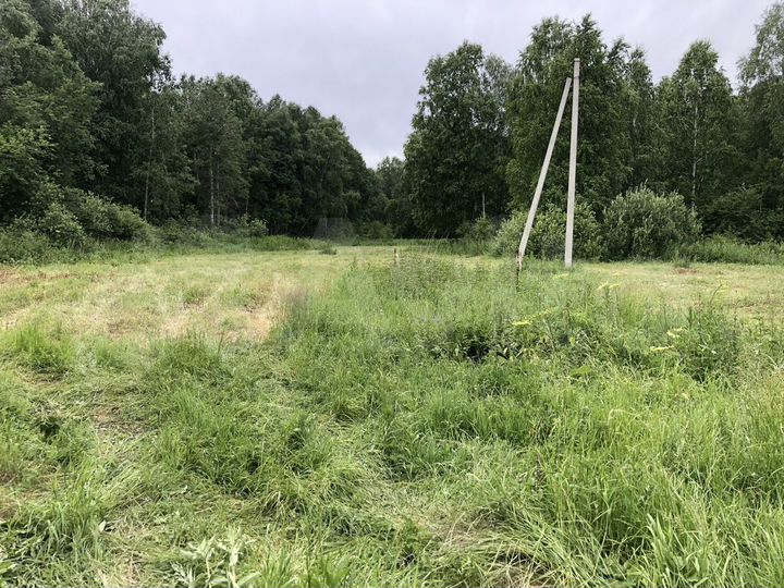 Участок 13 сот. (СНТ, ДНП)