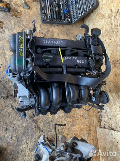 Двигатель ford focus 3 1.6 105