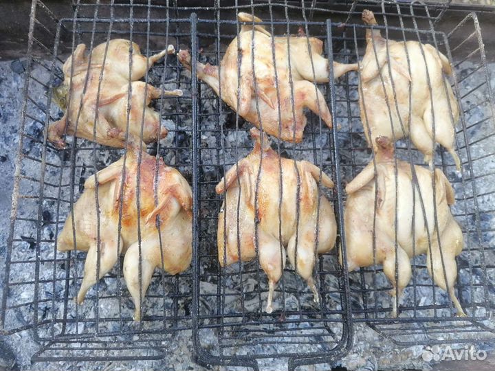 Тушки перепелов