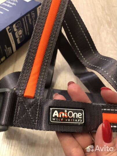 Светящаяся шлейка для собак