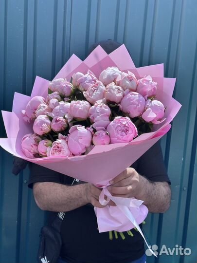25 пионов С доставкой / розовые пионы