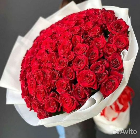 101 роза цветы букеты доставка 25 51 101 роза