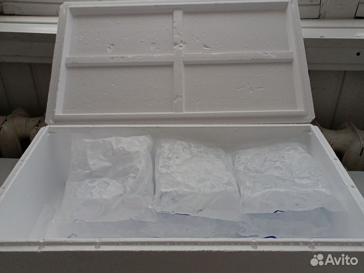 Термоконтейнер термобокс