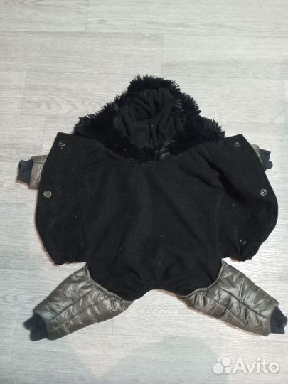 Одежда для маленьких собак