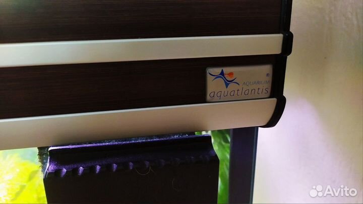 Аквариум Aquatlantis Evasion 240 литров