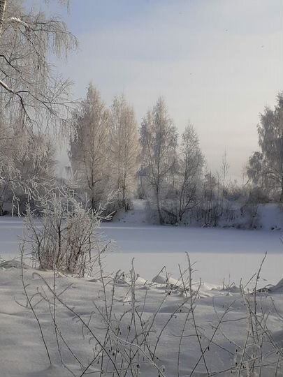 Участок 100 сот. (ИЖС)