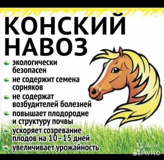 Конский навоз