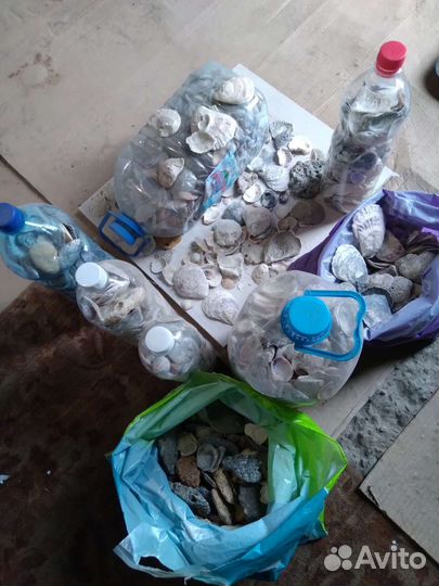 Ракушки и камни с Крыма