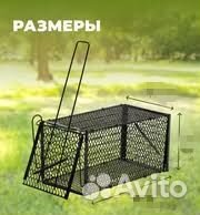 Крысоловка- клетка новая