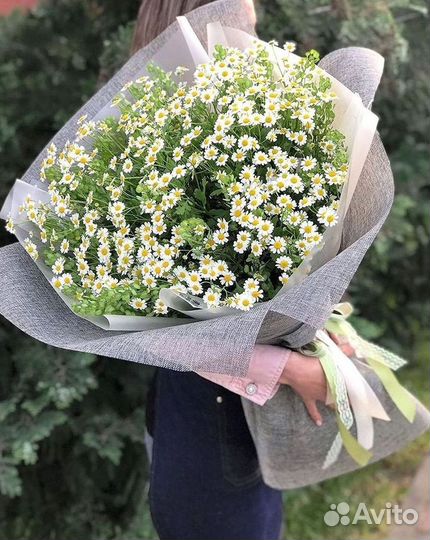 Букеты ромашек