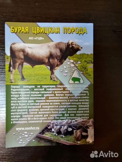 Искусственное осеменение коров