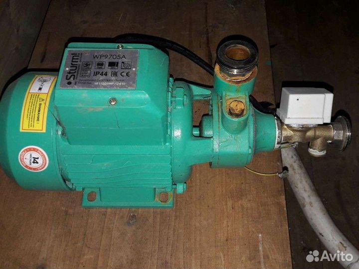 Разведение рыбы дома