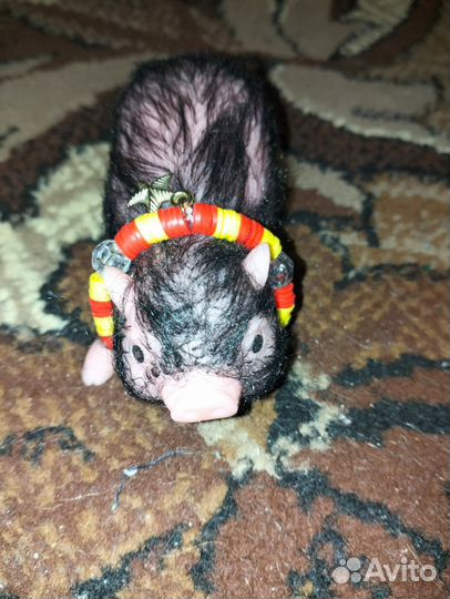 Свинка реборн