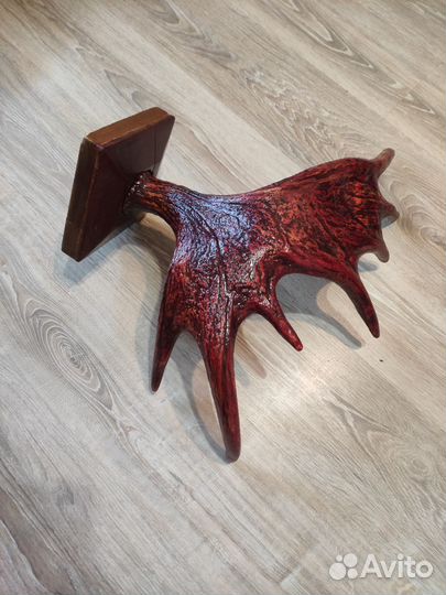 Рога лося оленя