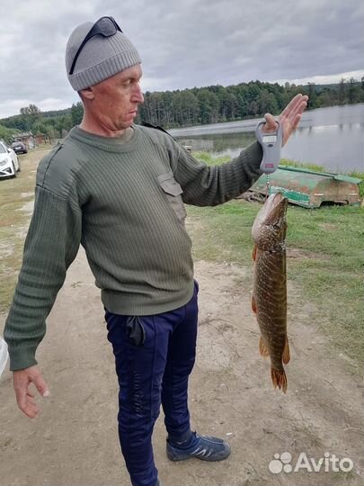 Платная рыбалка