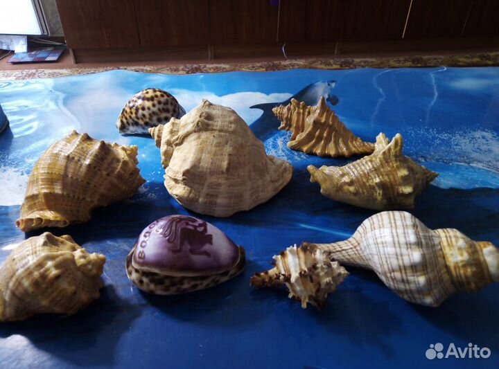 Фигурки,ракушки,подставка (д.мобил), кошелек и др