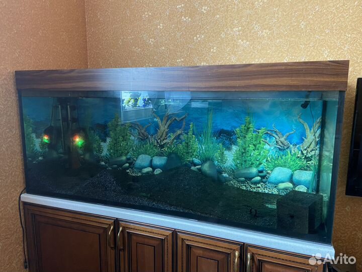 Аквариум