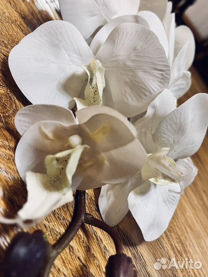 Ветка орхидеи искусственная. Высота 120 см