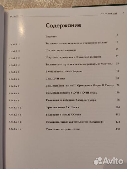 Тюльпаны. Аренд Ян Ван Дер Хорст (Энциклопедия)