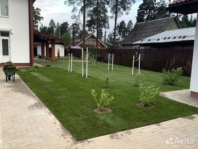 Рулонный газон от производителя