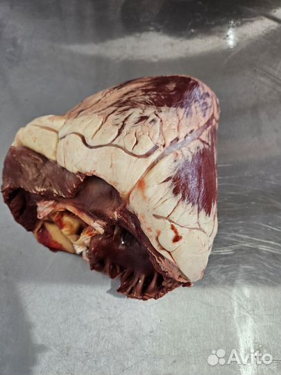 Мясо для животных