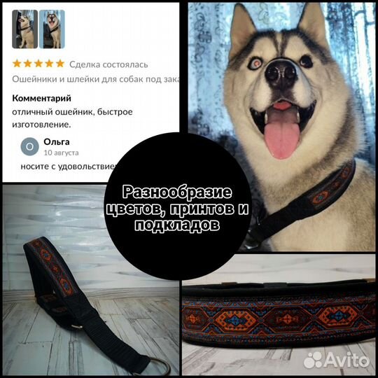 Ошейники, шлейки, недоуздки для собак