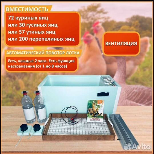 Инкубатор блиц 