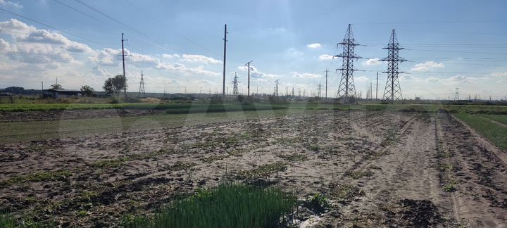 Участок 36 сот. (СНТ, ДНП)