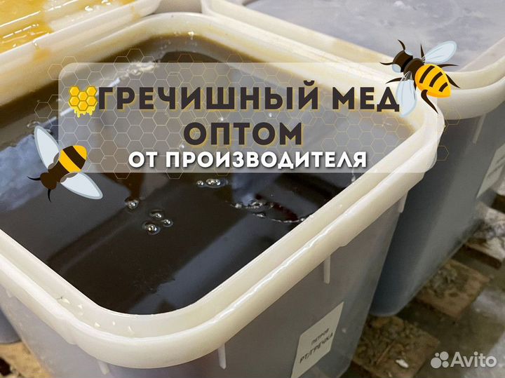 Гречишный мёд свежий только опт