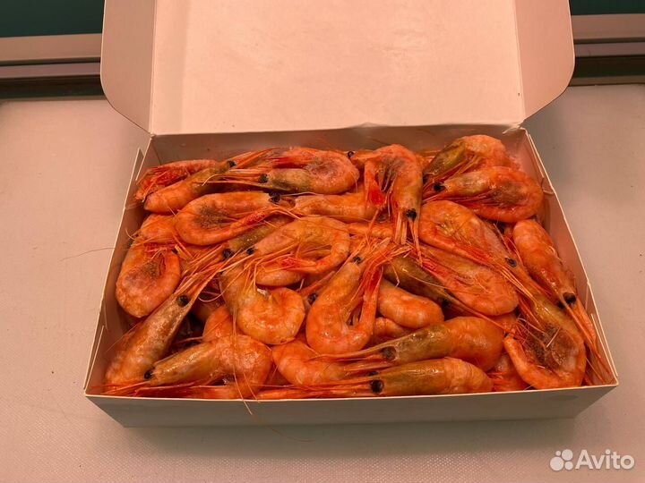 Креветка северная. Крупные. Опт