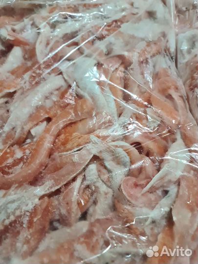 Рыба обрезь лосося