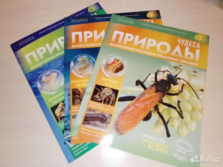 Журнал