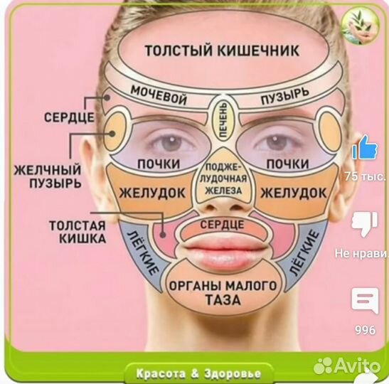 Жиросжигание(кавитация) биоэнергомассажер Фохоу