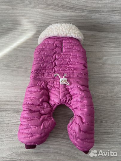 Комбинезон на собаку