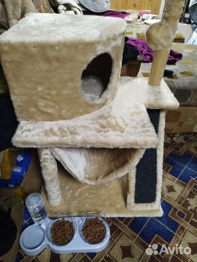 Домик для кошки новый
