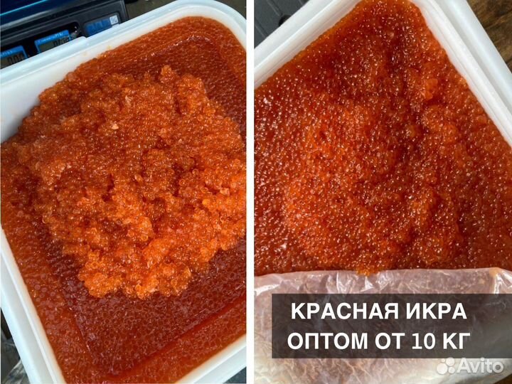 Красная икра Нерка, Кета, Горбуша, Кижуч