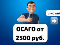 Автострахование ОСАГО. Страховка ОСАГО каско