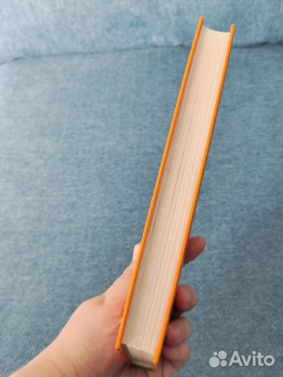 Книга Софи де Вильнуази