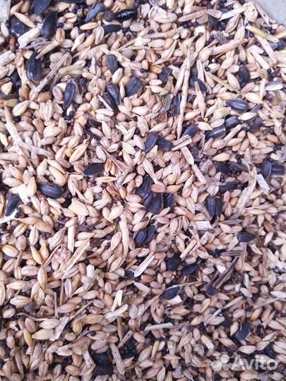 Зерносмесь